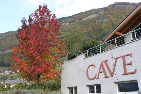 2._Cave